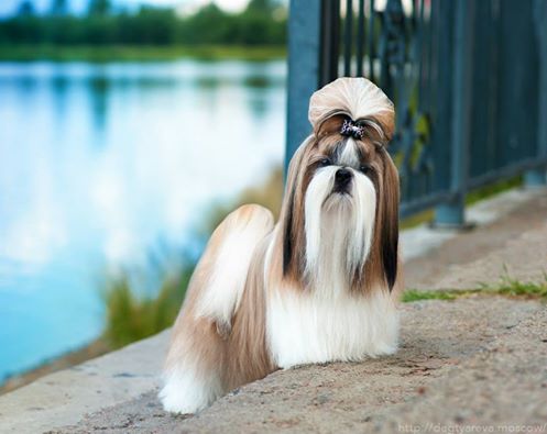 ��-���. ���������� �����