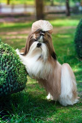 ��-���. ���������� �����