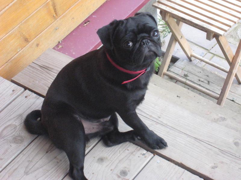 ����. ���������� �����