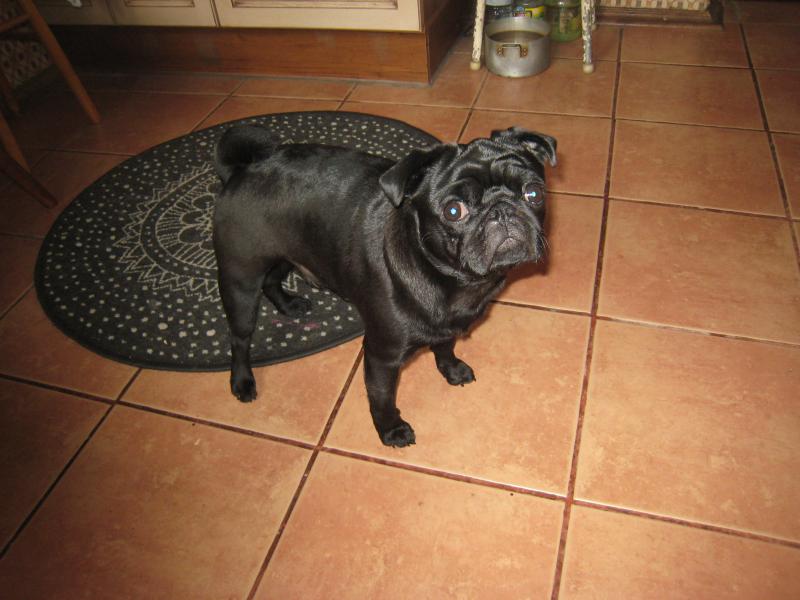 ����. ���������� �����