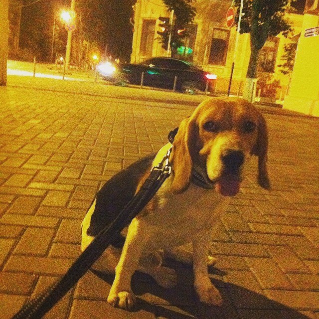 �����. ���������� �����