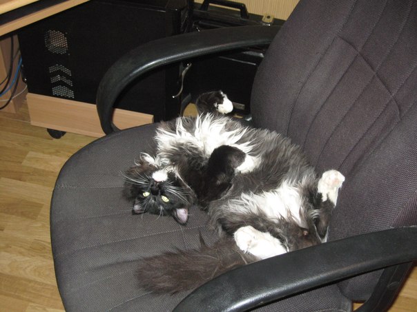 ��������� �����. ���������� �����