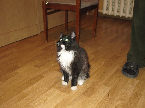 ��������� �����. ���������� �����