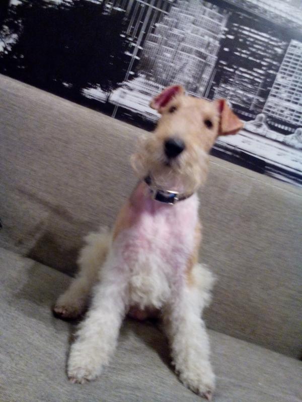 ���������� ��������������