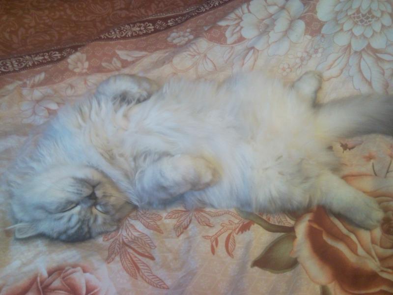 ����������� �������������� ��������� (������� - ����). ���������� �����