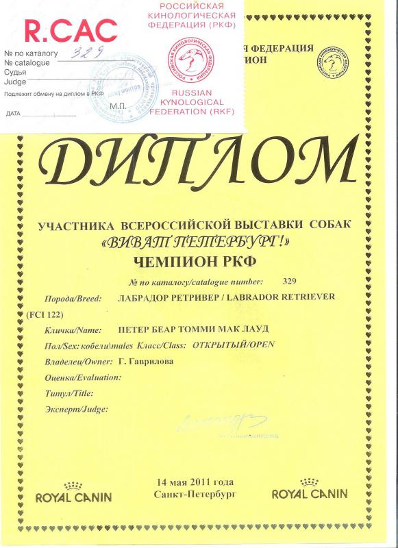 �������� ��������. ���������� �����