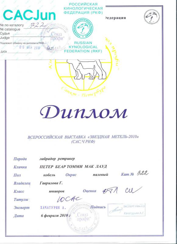 �������� ��������. ���������� �����