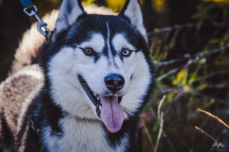 ��������� �����. ���������� �����