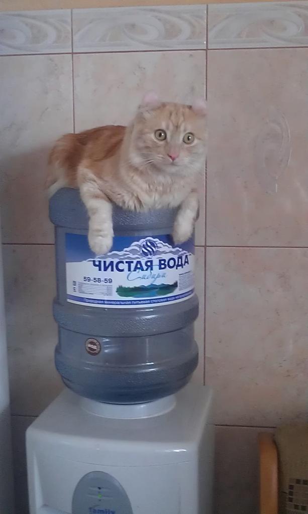 ������������ ����. ���������� �����