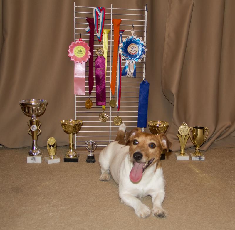 ���� ������ ������. ���������� �����