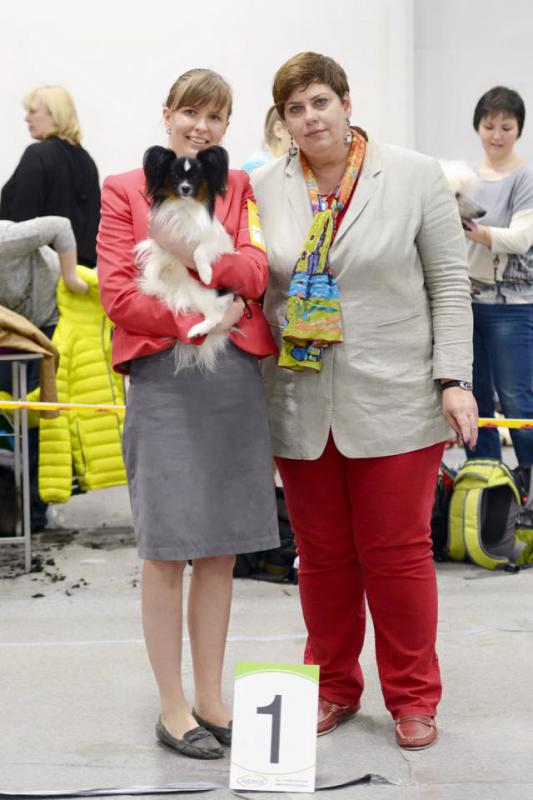 ��������. ���������� �����