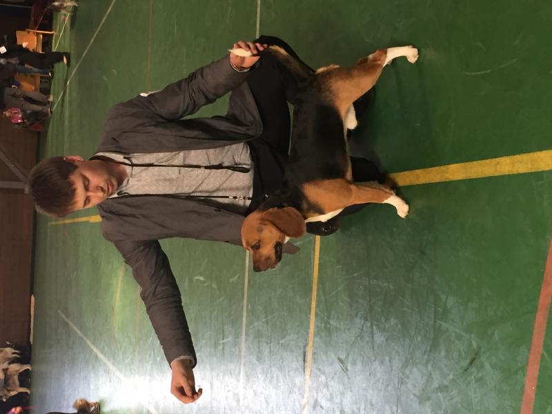 �����. ���������� �����