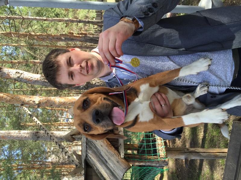 �����. ���������� �����