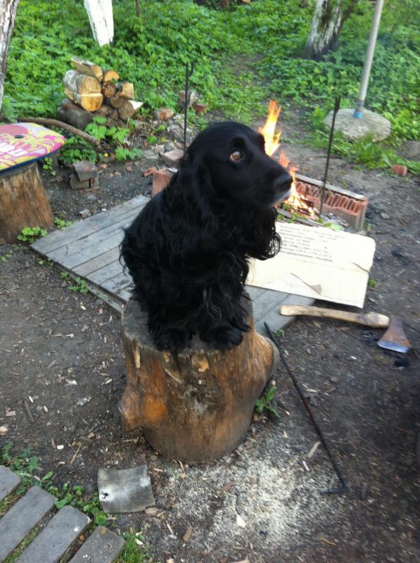 ���������� ����� ��������