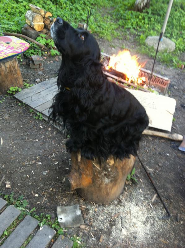 ���������� ����� ��������