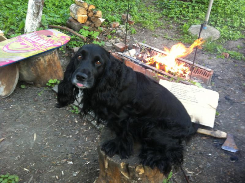 ���������� ����� ��������