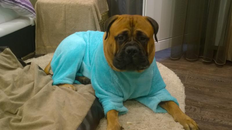 ����������. ���������� �����