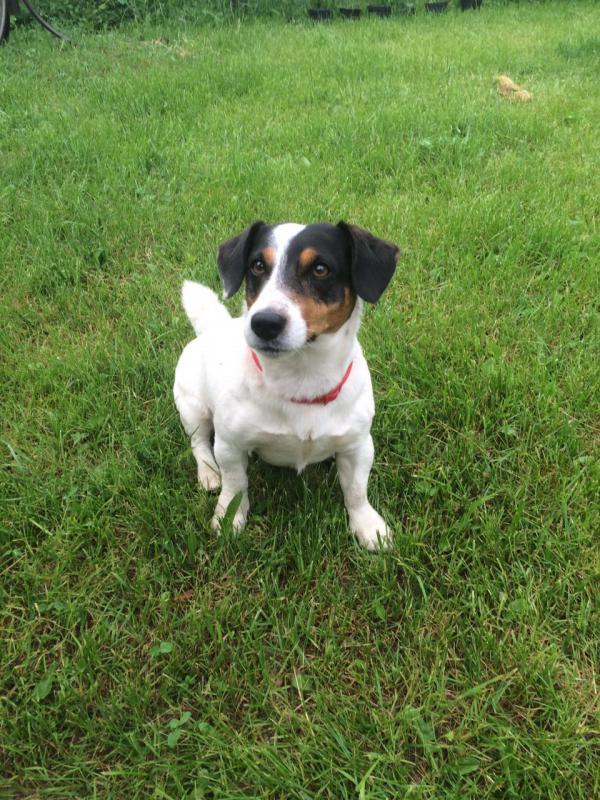 ���� ������ ������. ���������� �����