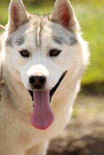 ��������� �����. ���������� �����