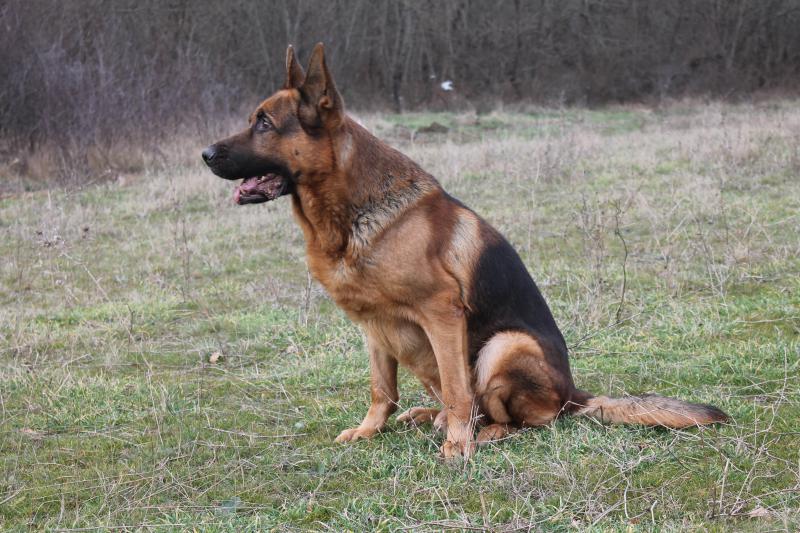 �������� �������. ���������� �����