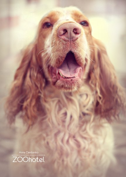 ������� ��������� ��������. ���������� �����