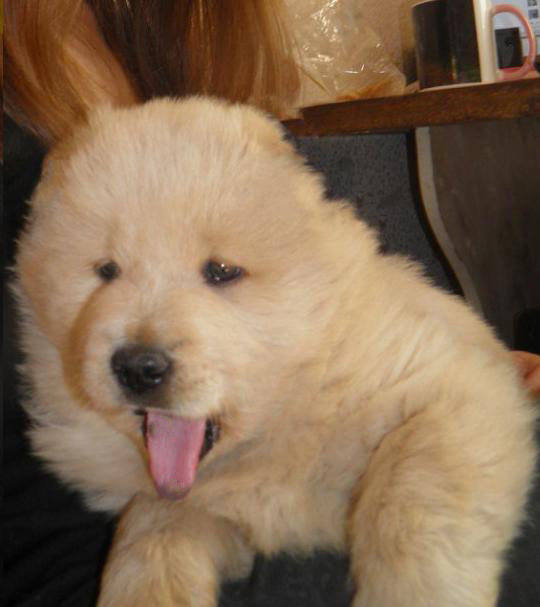 ���������� �������