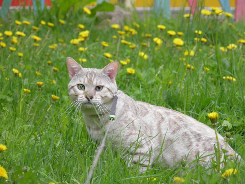 ����������� �����. ���������� �����