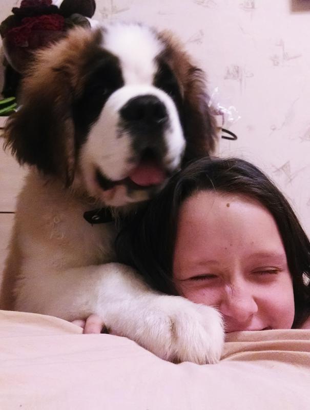 ���������. ���������� �����