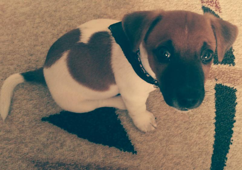 ���� ������ ������. ���������� �����