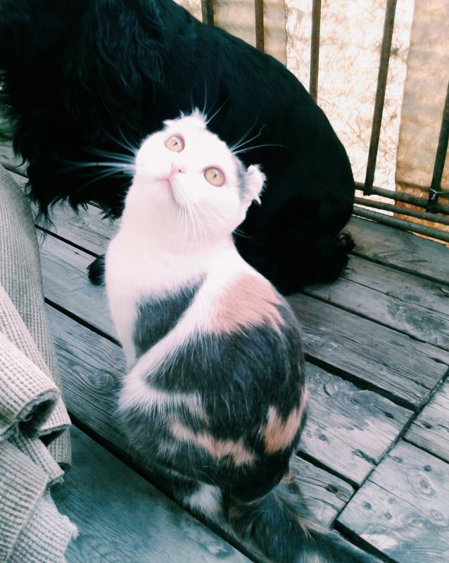 ������������ ����. ���������� �����