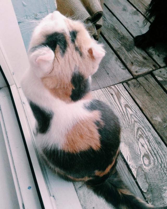 ������������ ����. ���������� �����