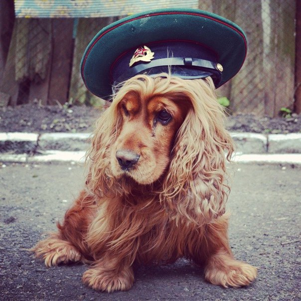 ���������� ����� ��������