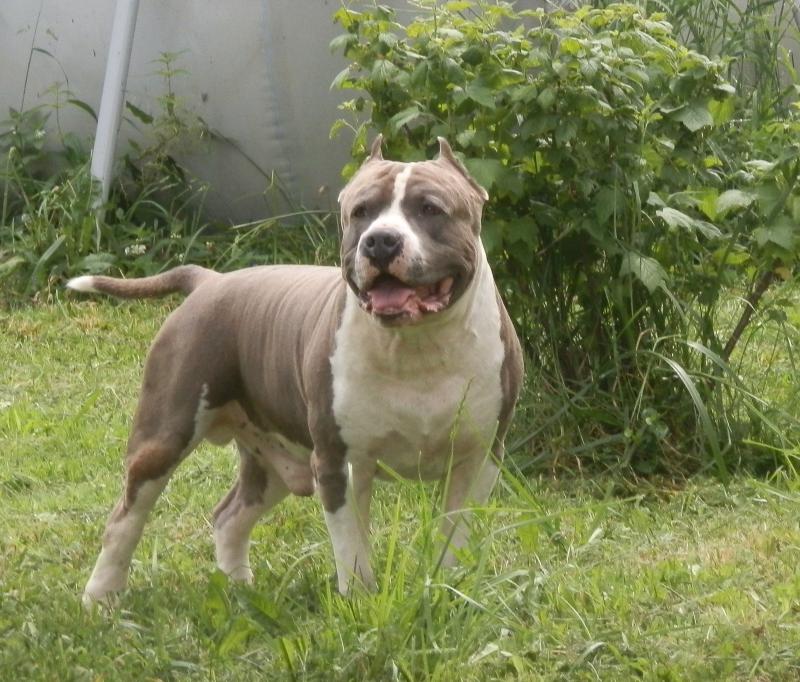 ������������ �����������c��� ������. ���������� �����