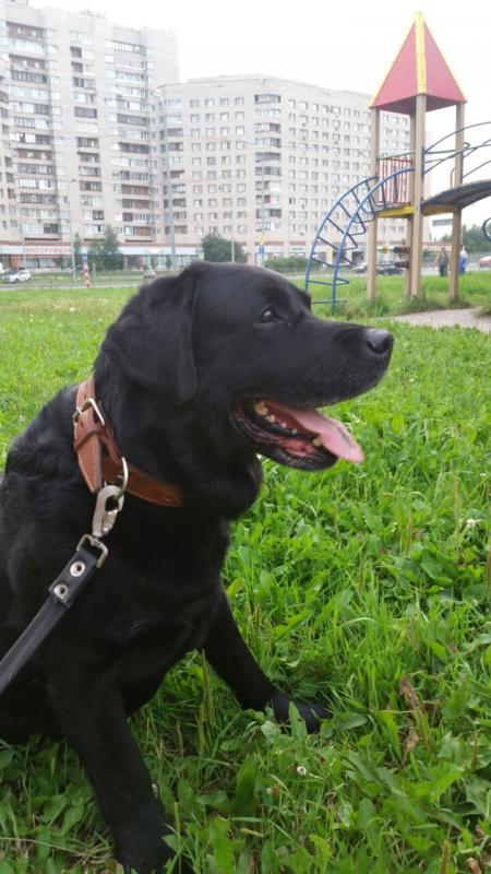 �������� ��������. ���������� �����