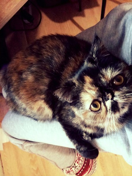 ������������ ���������������