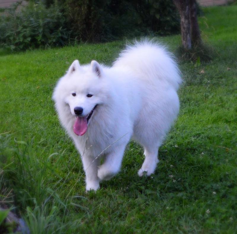 ����� ����������