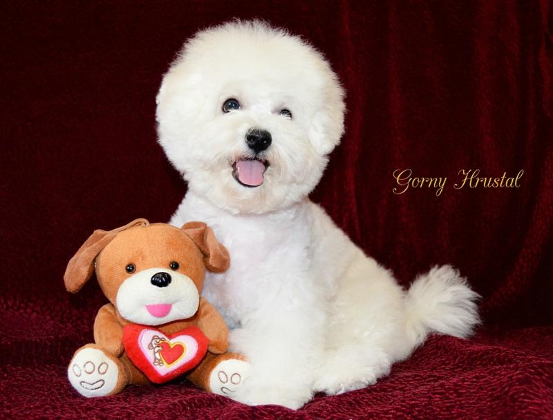 ����� �����