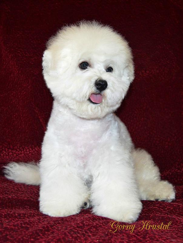 ����� �����