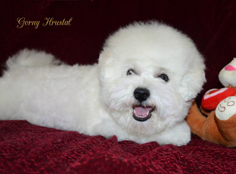 ����� �����