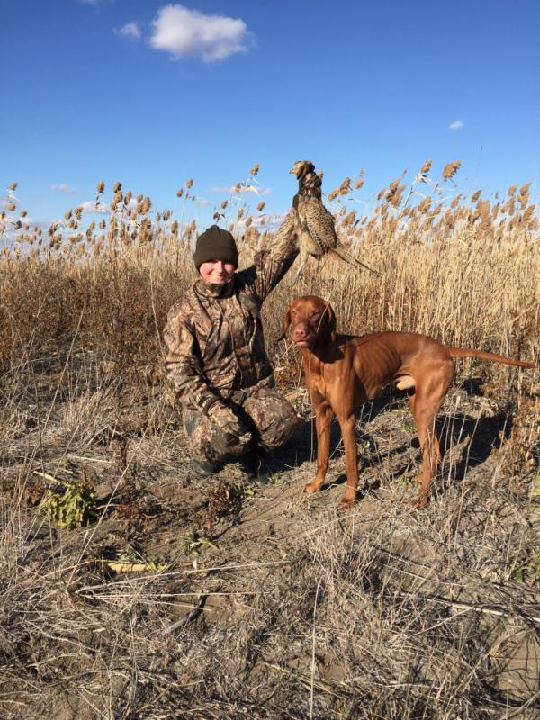 ���������� �����. ���������� �����