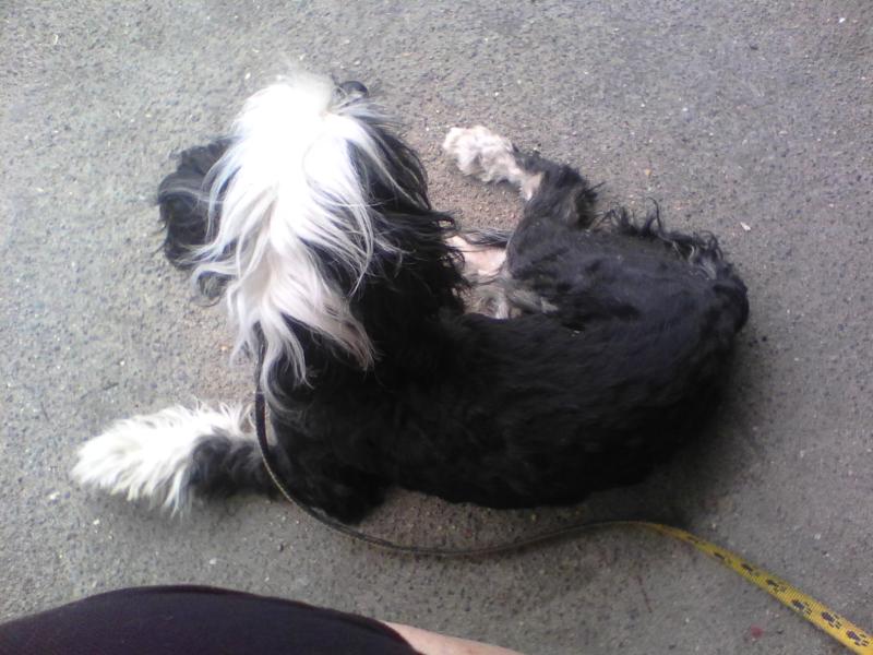 ��������� �������� �������