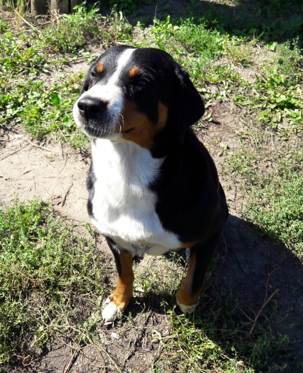 �����������-����������