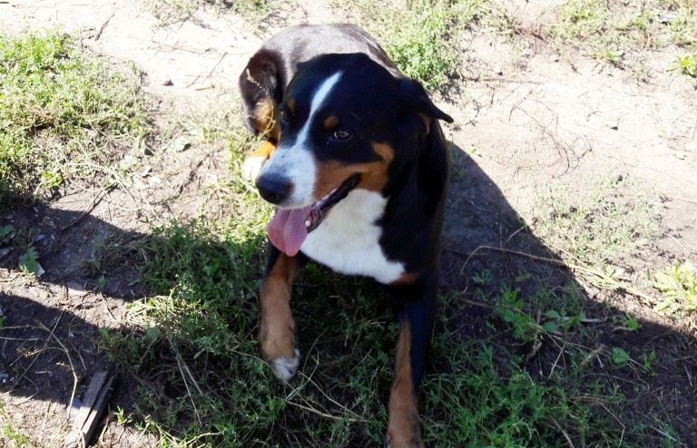 �����������-����������