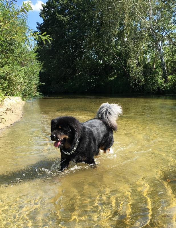 ��������� ������. ���������� �����