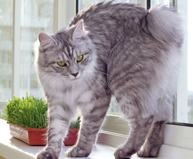 ���������� �������. ���������� �����