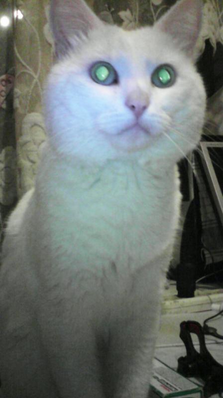 �������� ������ (��������� �����)