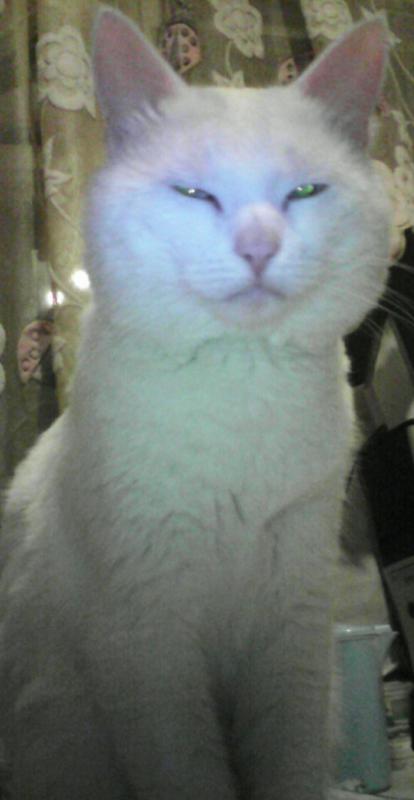 �������� ������ (��������� �����)