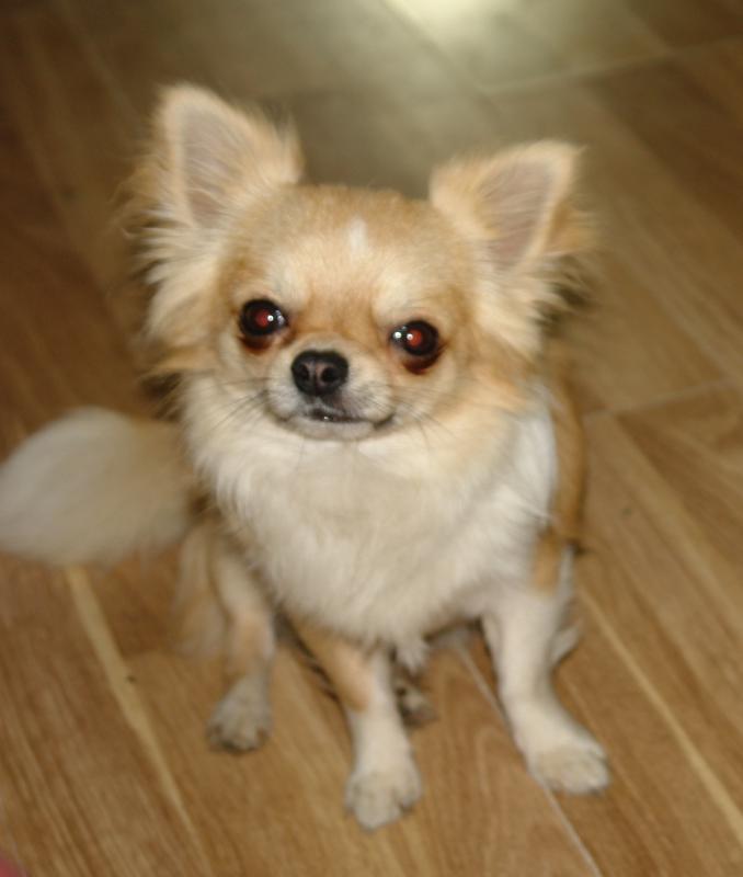 ��������. ���������� �����