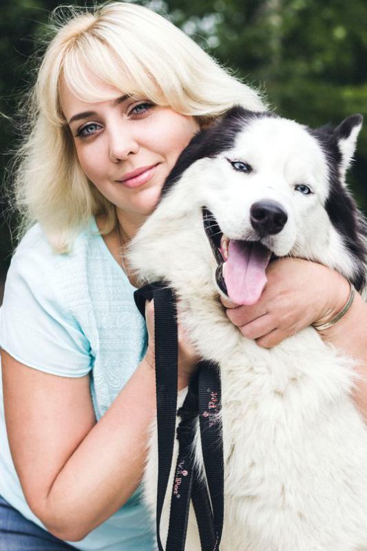 ��������� �����. ���������� �����