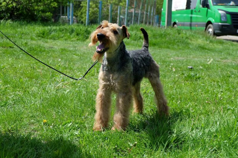 ���� ������. ���������� �����